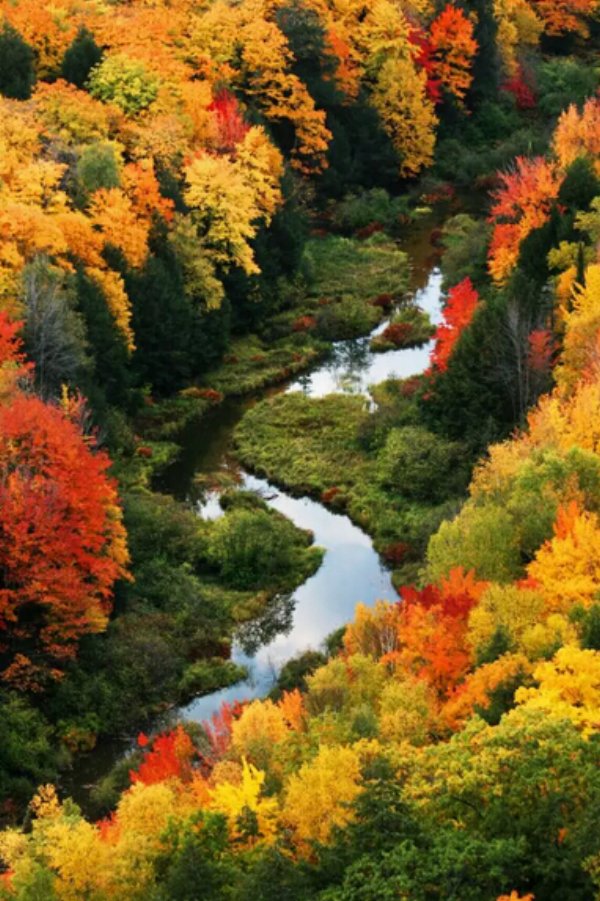看层林尽染，赏秋色迷人风光